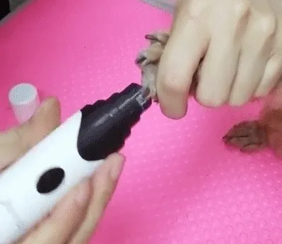 Lime à Ongles Électrique Pour Animaux De Compagnie Lime à Ongles Électrique Pour Animaux De Compagnie