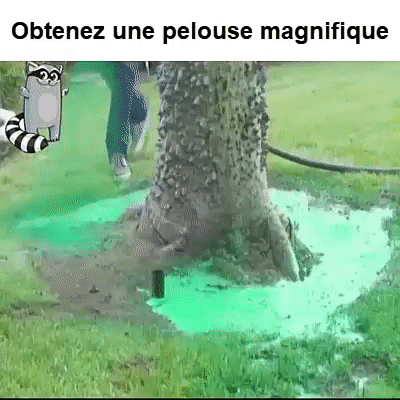 Liquide Pulvérisateur De Semences à Gazon