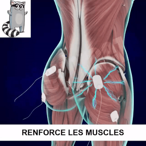 Masseur De Hanche Electronique