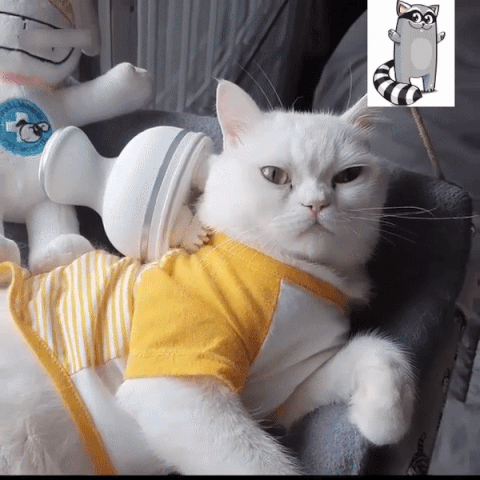 Masseur Pour Chat et Chien Masseur Pour Chat et Chien