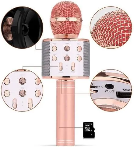 Micro de Karaoké sans fil Bluetooth