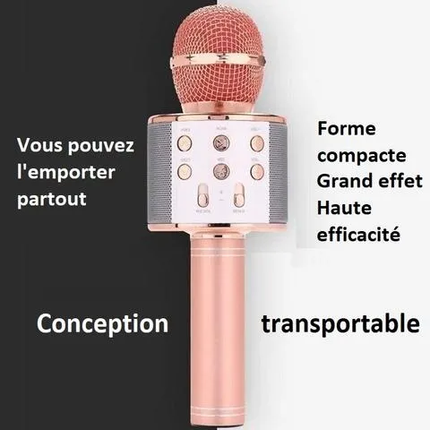 Micro de Karaoké sans fil Bluetooth