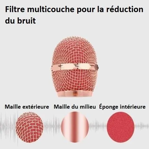 Micro de Karaoké sans fil Bluetooth Micro de Karaoké sans fil Bluetooth