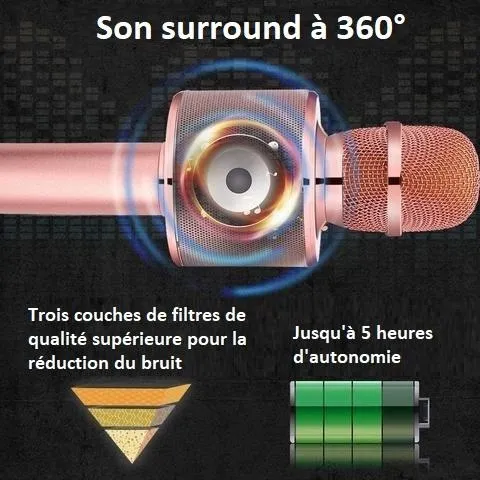Micro de Karaoké sans fil Bluetooth