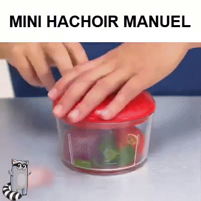 Mini Hachoir Manuel