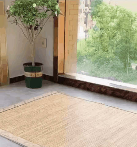 Moustiquaire Pliable