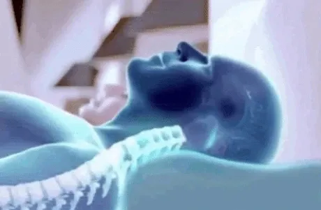 Oreiller Orthopédique à Mémoire De Forme