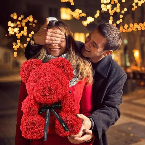 Ours en Peluche en Roses Ours en Peluche en Roses
