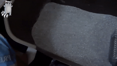 Pelle à Litière Pour chat
