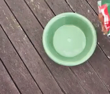 Piège à Mouches Réutilisable