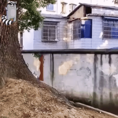 Pistolet à Bulles Pistolet à Bulles