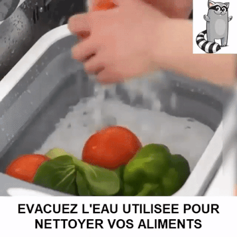 Planche à Découper - Pliable Multifonction