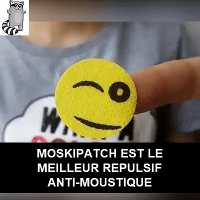 Répulsif Naturel Contre Les Moustiques (lot de 120 pièces) Répulsif Naturel Contre Les Moustiques (lot de 120 pièces)