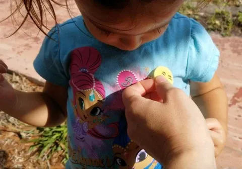 Répulsif Naturel Contre Les Moustiques (lot de 120 pièces) Répulsif Naturel Contre Les Moustiques (lot de 120 pièces)