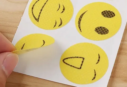 Répulsif Naturel Contre Les Moustiques (lot de 120 pièces) Répulsif Naturel Contre Les Moustiques (lot de 120 pièces)