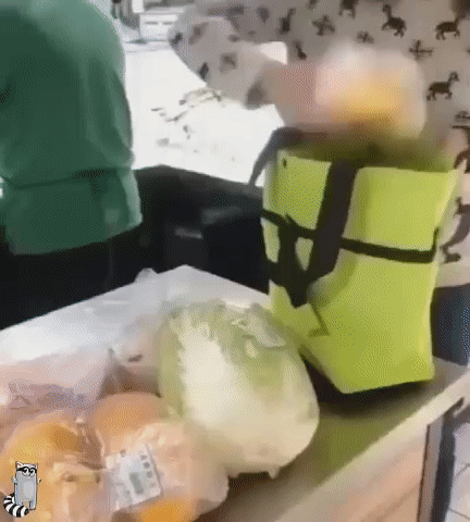 Sac de Provisions Pliable Sac de Provisions Pliable