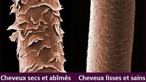 Sérum Capillaire à la Biotine Végétale Sérum Capillaire à la Biotine Végétale