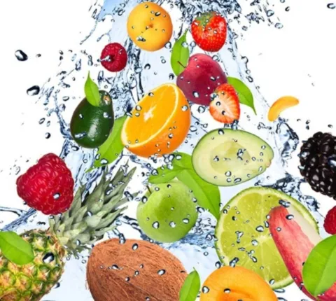 Sorbetière Pour Fruits Surgelés Sorbetière Pour Fruits Surgelés
