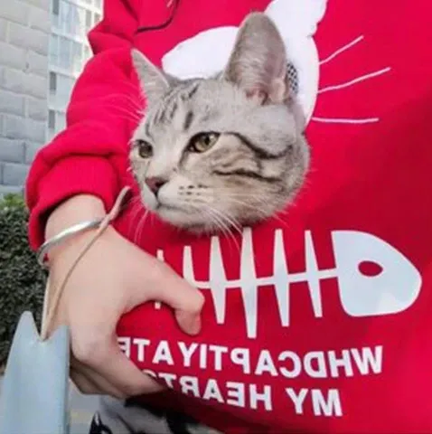 Sweatshirt Pull Poche Kangourou pour Chat Sweatshirt Pull Poche Kangourou pour Chat