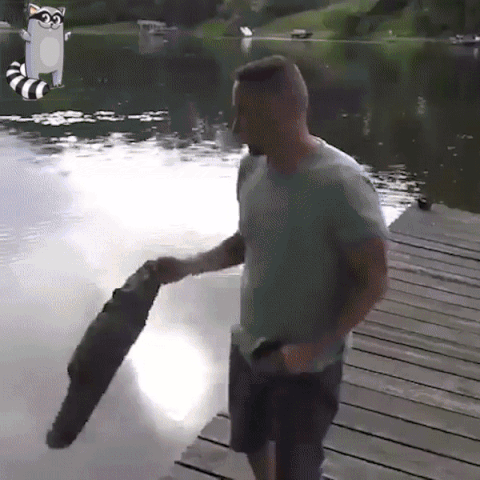 Tête De Crocodile Avec Télécommande Tête De Crocodile Avec Télécommande