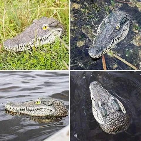 Tête De Crocodile Avec Télécommande Tête De Crocodile Avec Télécommande